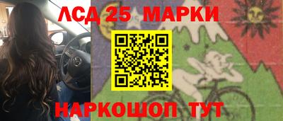 шишки Обнинск