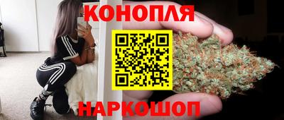 шишки Обнинск