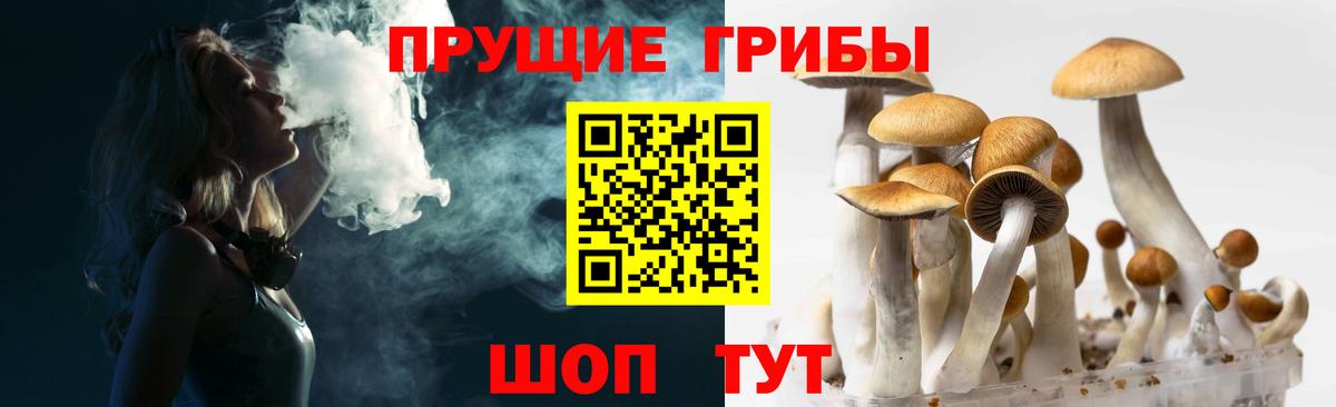 Псилоцибиновые грибы ЛСД  Псилоцибиновые грибы MAGIC MUSHROOMS  Альметьевск  Вход с VPN 